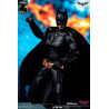DC Comics, The Dark Knight - Catwoman or Batman (DX Edition) figure