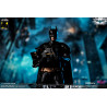 DC Comics, The Dark Knight - Catwoman or Batman (DX Edition) figure