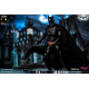 DC Comics, The Dark Knight - Catwoman or Batman (DX Edition) figure