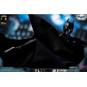 DC Comics, The Dark Knight - Catwoman or Batman (DX Edition) figure