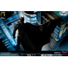DC Comics, The Dark Knight - Catwoman or Batman (DX Edition) figure