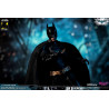 DC Comics, The Dark Knight - Catwoman or Batman (DX Edition) figure
