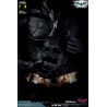 DC Comics, The Dark Knight - Catwoman or Batman (DX Edition) figure