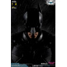 DC Comics, The Dark Knight - Catwoman or Batman (DX Edition) figure