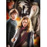 Harry Potter - Impossible, Panorama or Multi Jigsaw Puzzle