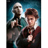 Harry Potter - Impossible, Panorama or Multi Jigsaw Puzzle