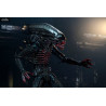 Alien - Pack 3 figures 40th Anniversary, series 2