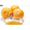 One Piece - Figurine aléatoire Pirates Teatime, Ochatomo Series