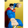 DC Comics - Figure Batman, Superman or Wonder Woman, Tracy Tubera, Designer Series