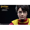 Harry Potter - Harry, Draco or Both figure Quidditch 2.0, My Favourite Movie