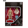 Star Wars Episode V - Pack 2 figurines Luke Skywalker et Yoda (Jedi Training), Black Series 2020