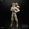 Star Wars Episode V - Pack 2 figurines Luke Skywalker et Yoda (Jedi Training), Black Series 2020