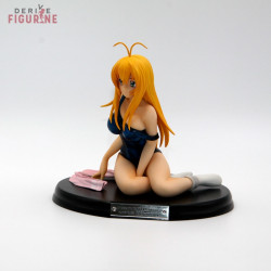 Ikki Tousen Dragon Destiny...