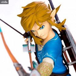The Legend of Zelda Breath...