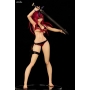 Fairy Tail - Erza Scarlet figure Swimwear Gravure Style Fire