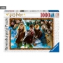 Harry Potter - Young Wizard, On The Way To Hogwarts or At The Weasley's Jigsaw Puzzle