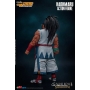 Samurai Shodown - Figurine Haohmaru