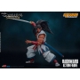 Samurai Shodown - Haohmaru figure
