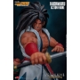 Samurai Shodown - Figurine Haohmaru
