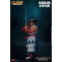 Samurai Shodown - Figurine Haohmaru
