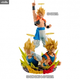 Dragon Ball Z - Figurine SS...