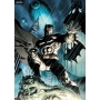 DC Comics Batman - Puzzle Standard, Impossible ou Panorama