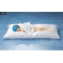 Re:ZERO - Rem (Blue) or Ram (Pink) Lingerie figure, Sleep Sharing