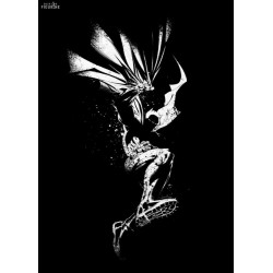 Poster métallique DC Comics...