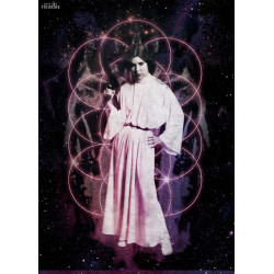 Metal poster Star Wars -...