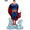 DC Comics - Superman (Ascendant) or Lobo (Deluxe) figure, Gallery