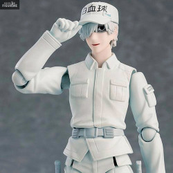 Cells at Work! - White...