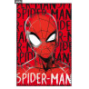 Fleece blanket Marvel Spider-Man