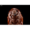 Godzilla: King of the Monsters - Pack 6 figures Gekizou Series 9