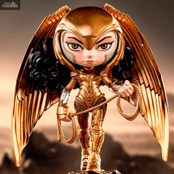 PRE ORDER- DC Comics WW...