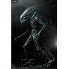 Alien - Pack 3 figures 40th Anniversary, série 3
