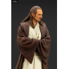 Star Wars Episode I - Figure Qui-Gon Jinn, ARTFX+