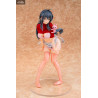 Original Character - Figurine Laundry Girl Amane Suikawa illustration by Tsukune Taira