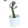 Marvel, Les Gardiens de la Galaxie - Figurine végétalisée Groot, Grow and Glow