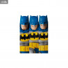 DC Comics, Batman : Dark Knight - Pack 2 figures Batman Blue Version & Robin, MAF EX