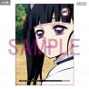 Demon Slayer Kimetsu no Yaiba - Figure Kanao Tsuyuri Palm Size Classic or Deluxe, G.E.M