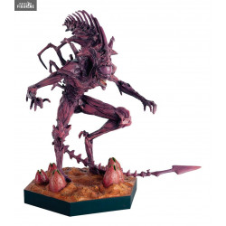 The Alien & Predator -...