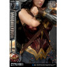 DC Comics, Justice League - Wonder Woman figure available in three versions