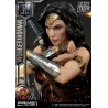 DC Comics, Justice League - Wonder Woman figure available in three versions