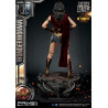 DC Comics, Justice League - Wonder Woman figure available in three versions