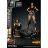 DC Comics, Justice League - Wonder Woman figure available in three versions