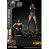 DC Comics, Justice League - Wonder Woman figure available in three versions