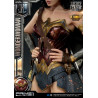 DC Comics, Justice League - Wonder Woman figure available in three versions