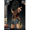 DC Comics, Justice League - Wonder Woman figure available in three versions