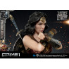 DC Comics, Justice League - Wonder Woman figure available in three versions
