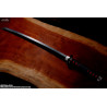 Demon Slayer : Kimetsu no Yaiba - Nichirin sword (Tanjiro Kamado) replica, Proplica
